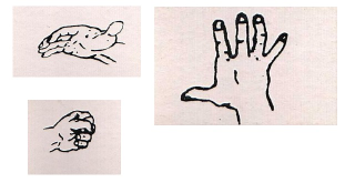 Illustration for article titled The Personality Test That's All About Hand Gestures